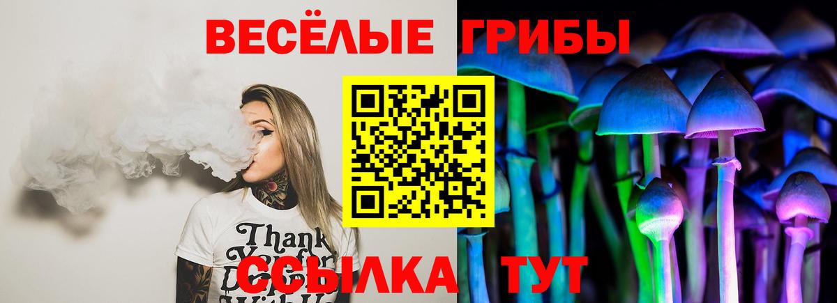 Псилоцибиновые грибы Psilocybine cubensis Ирбит